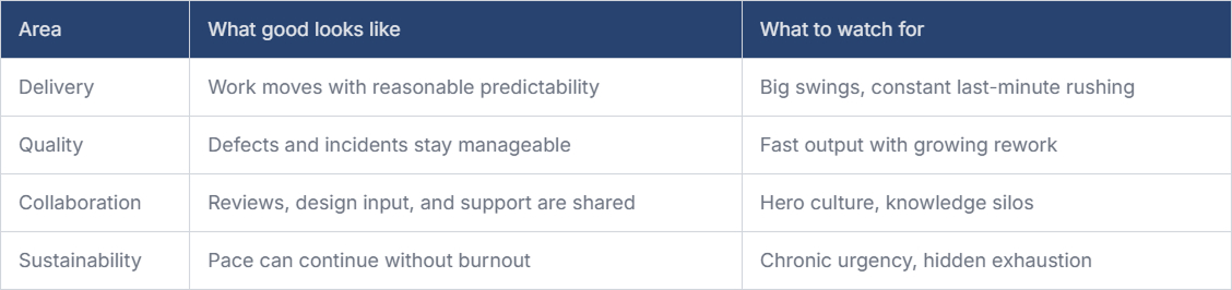 Healthy Engineering Team Performance Actually
